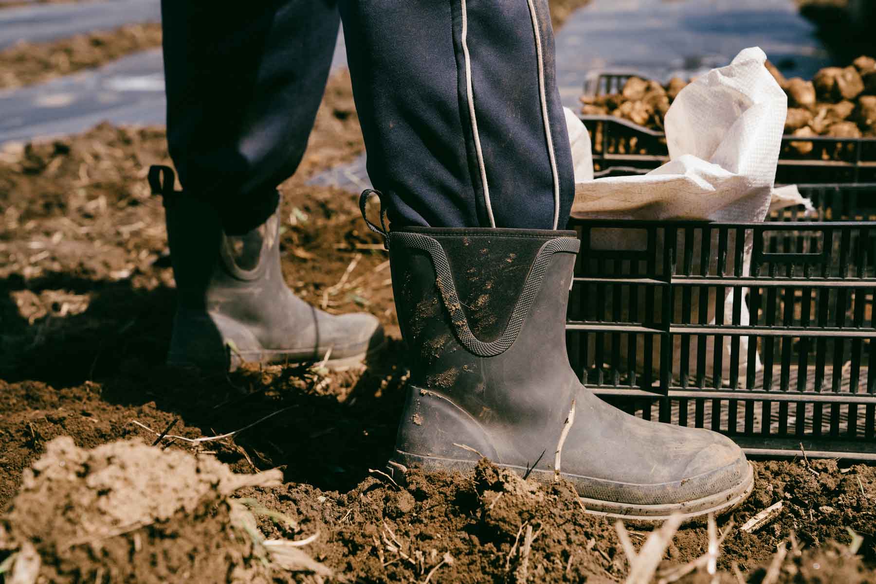 Originals Pull On Mid Gumboots