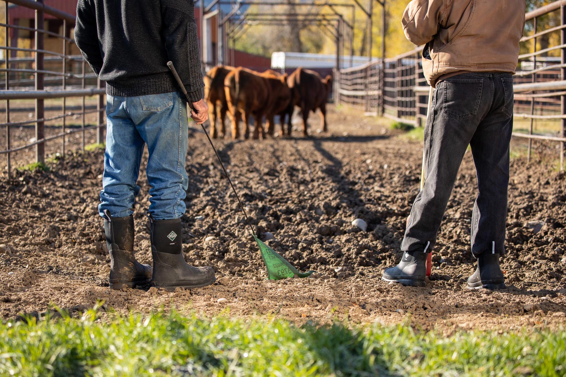 Classic Chore Mid Gumboots 4 | Wellies Online