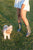 French Bullies Mid Gumboots 31 | Wellies Online