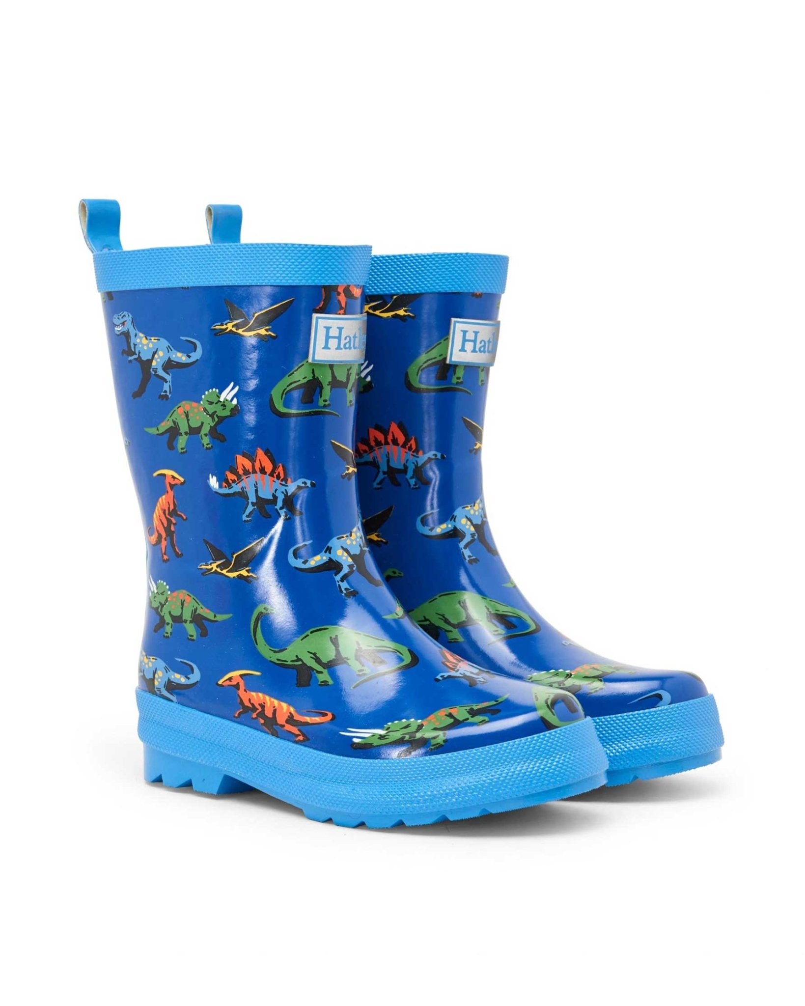 Friendly Dinos Shiny Gumboots 2 | Wellies Online