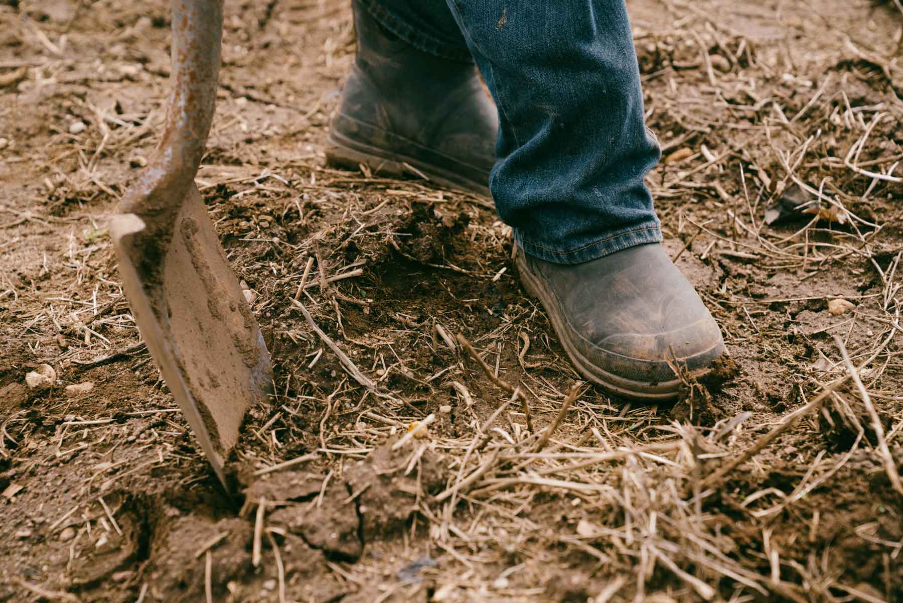 Originals Pull On Mid Gumboots 28 | Wellies Online