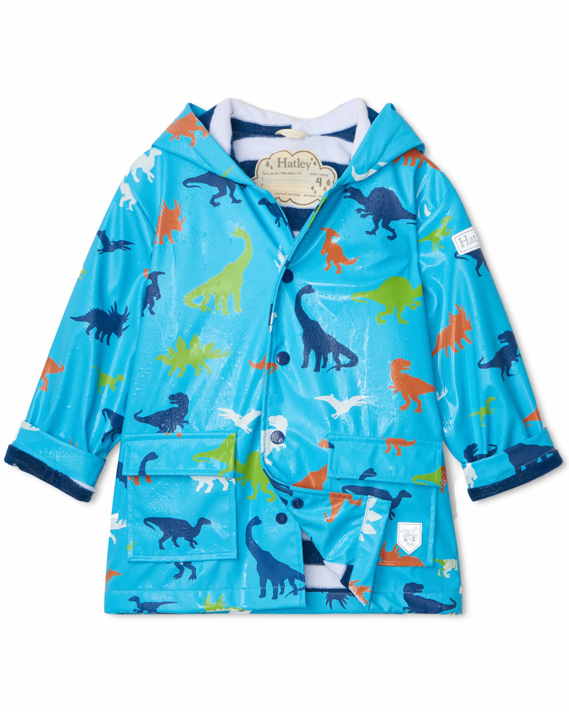 Prehistoric Dinos Colour Changing Raincoat