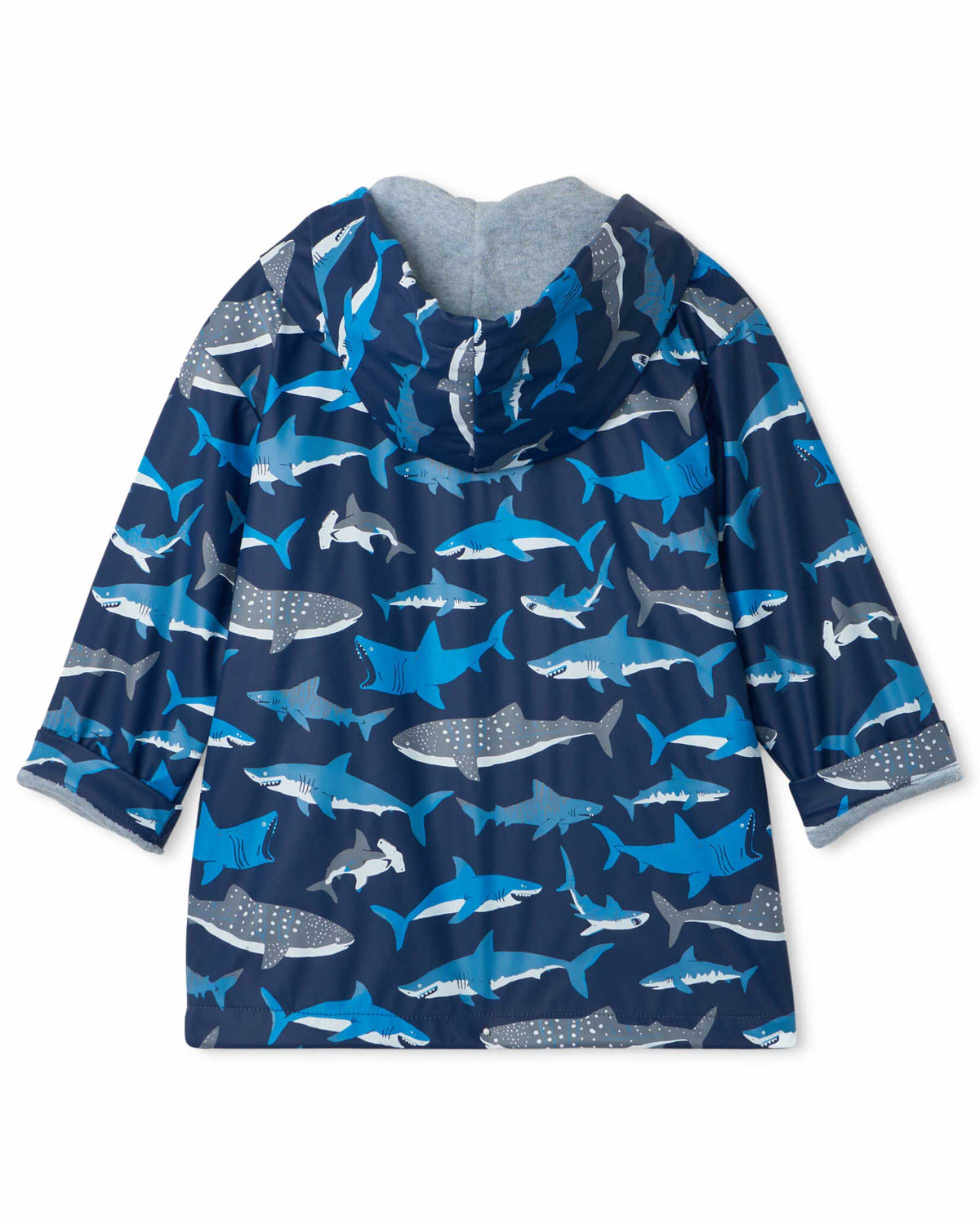 Shark School Raincoat
