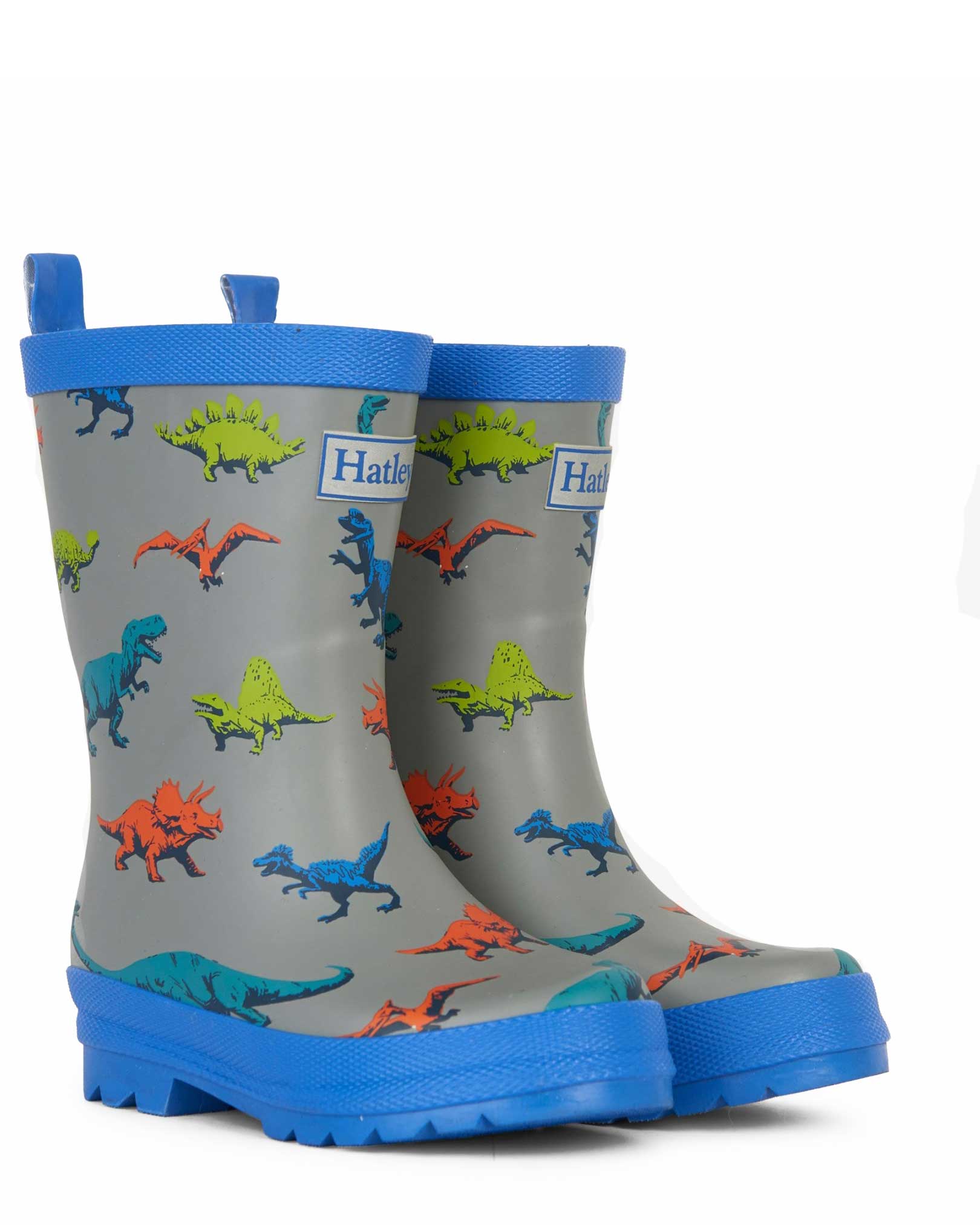 Wild Dinos Gumboots 2 | Wellies Online